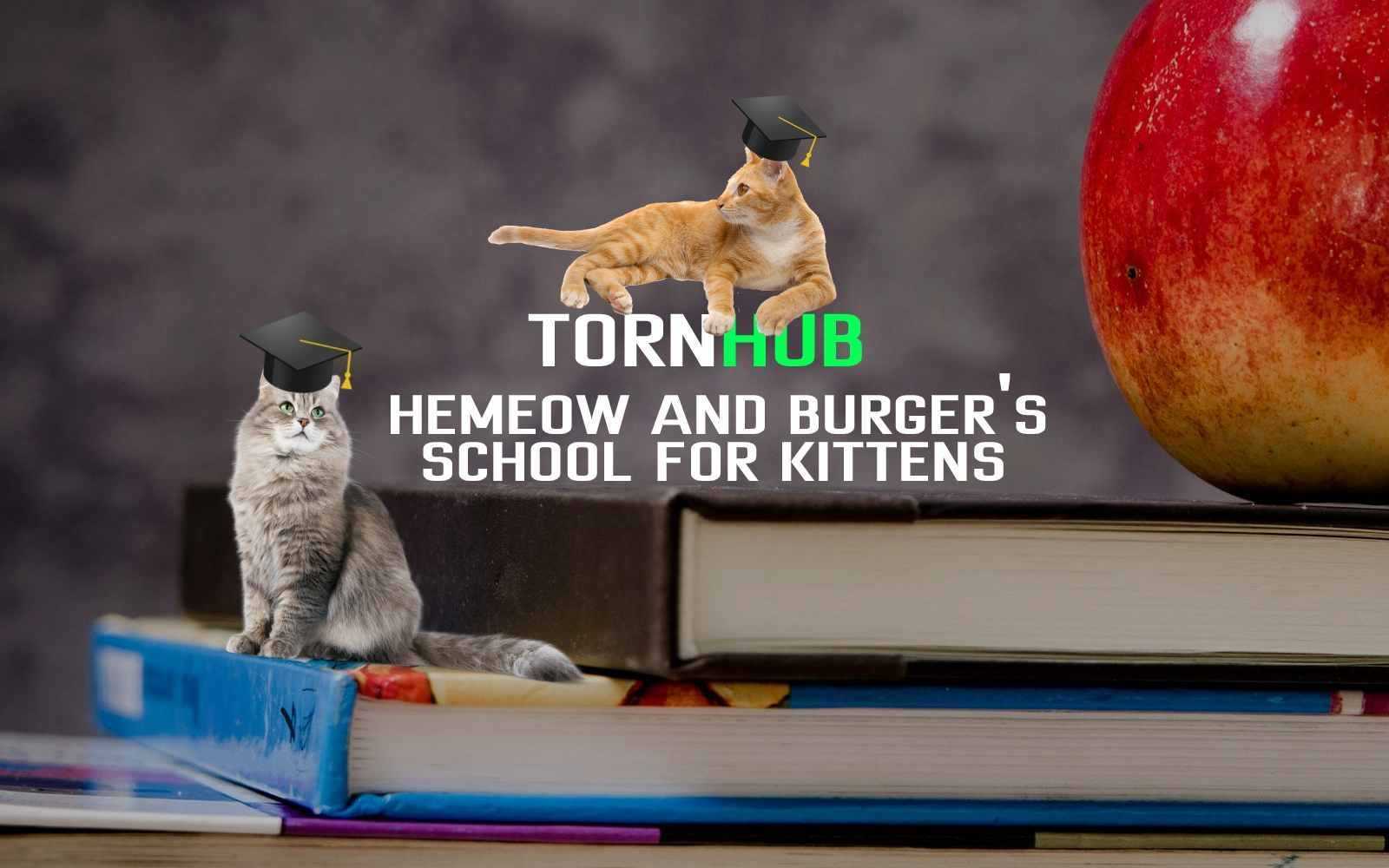 Hemeow and Burger School for Kittens cover image